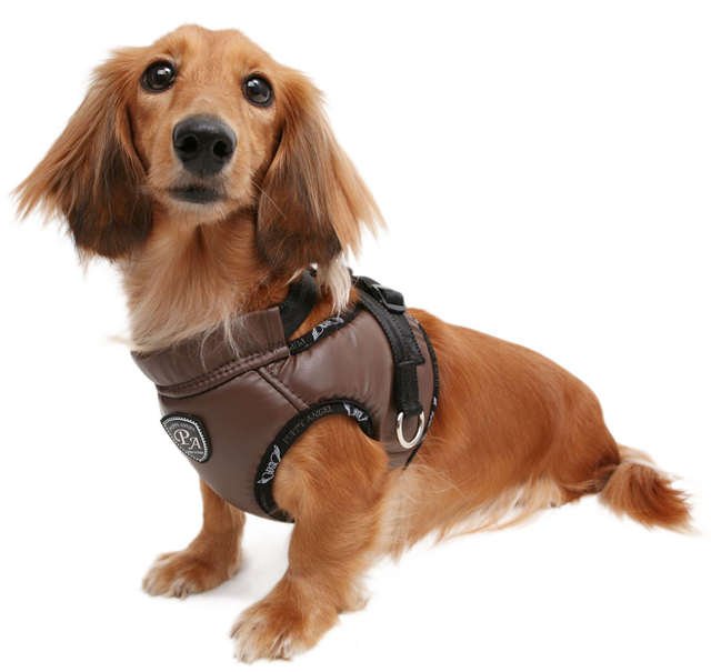 Ready to Go Harness - Beige