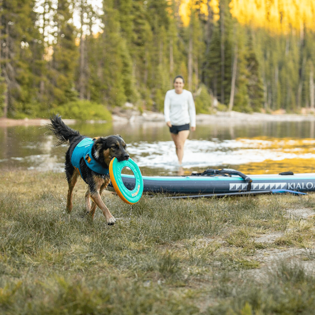 HYDRO PLANE Flytande Hundleksak - Aurora Teal