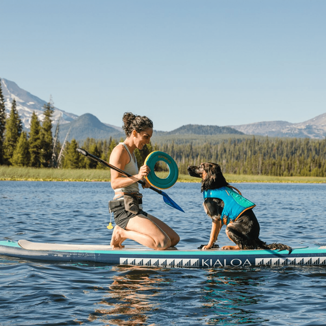 HYDRO PLANE Flytande Hundleksak - Aurora Teal