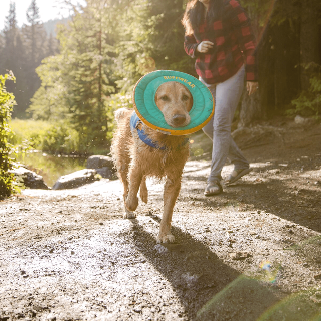 HYDRO PLANE Flytande Hundleksak - Aurora Teal