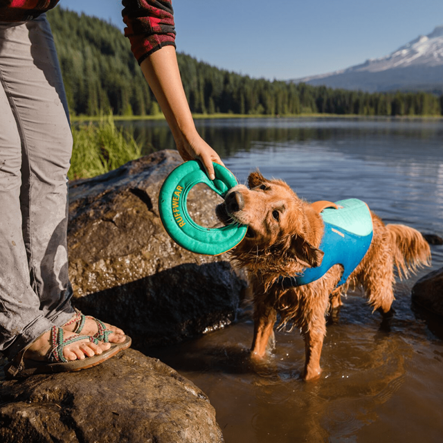 HYDRO PLANE Flytande Hundleksak - Aurora Teal