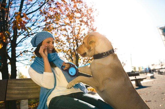 Flexi New Neon Koppel Med Band 5 m - Blå