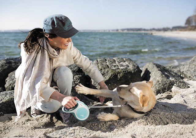 Flexi New Comfort Koppel Med Band 5 m - Ljusblå