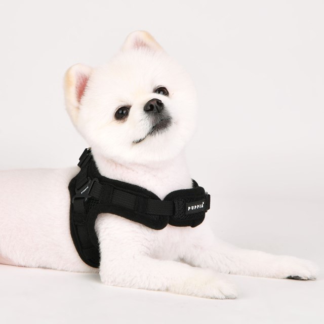 Soft Harness X Svart - STEP-IN HUNDSELE