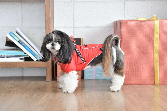 Mallory Red - Hundtäcke med Integrerad Sele