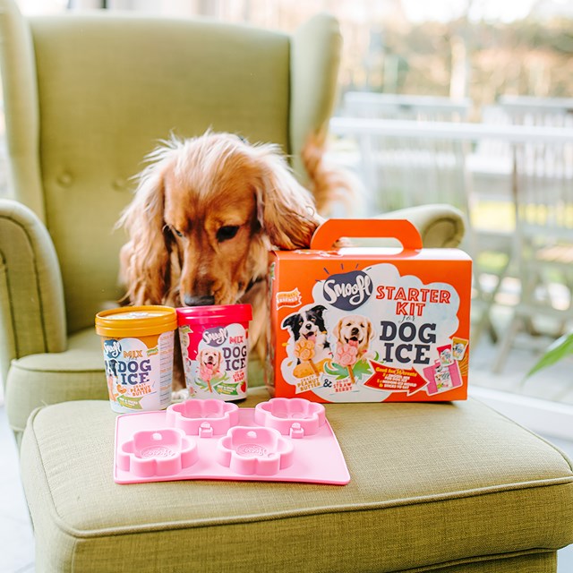 Smoofl Starter Kit - Hundglass