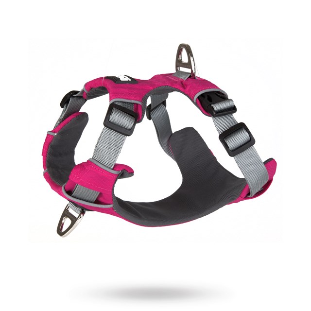 Safe-Walk Pro™ - Rosa Hundsele