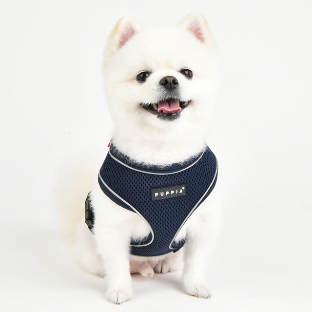 SOFT Harness A PRO Navy - Hundsele
