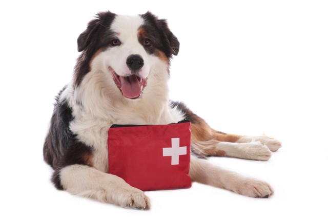 Trixie Första Hjälpen Kit