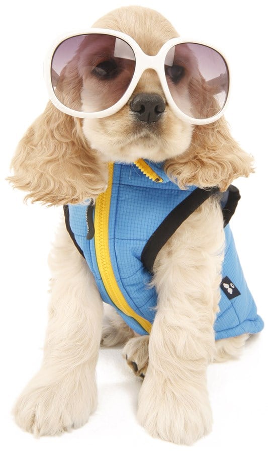 Signature Active Outdoor Vest - Yellow