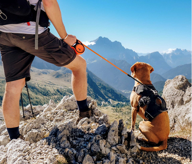 New NEON 5 m - Orange