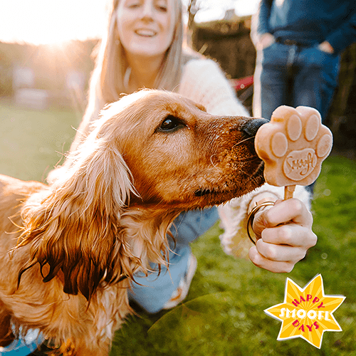 Smoofl Starter Kit - Hundglass