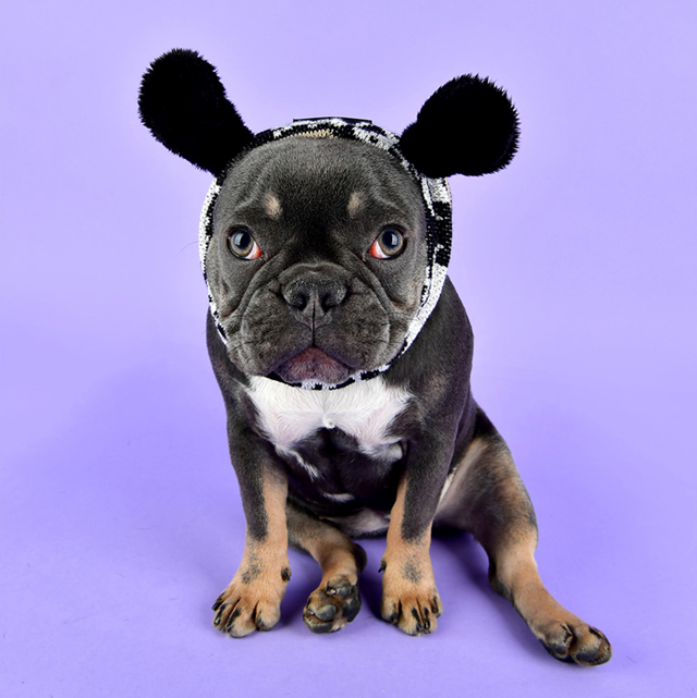 PRANCER SNOOD - Svart