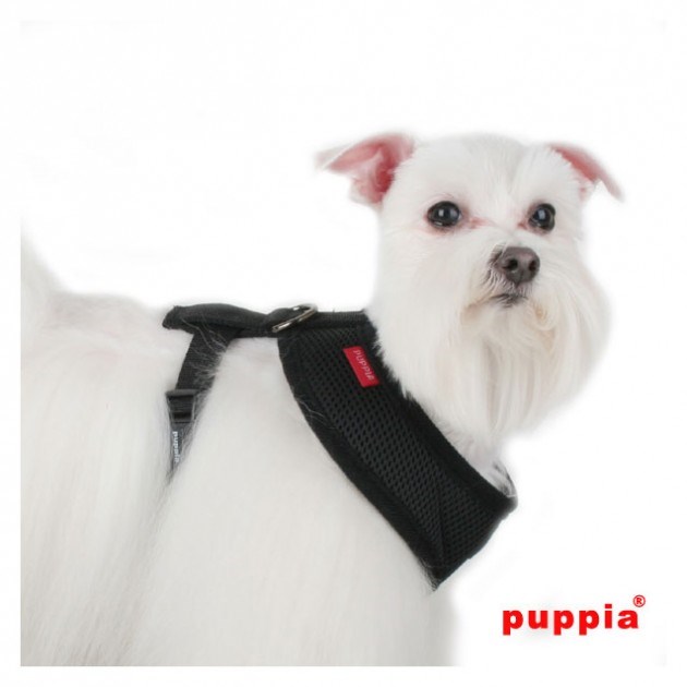 SOFT Black - Hundsele