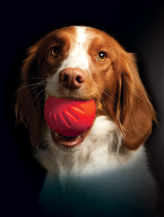 Starmark Foam Ball Bacon 6 cm