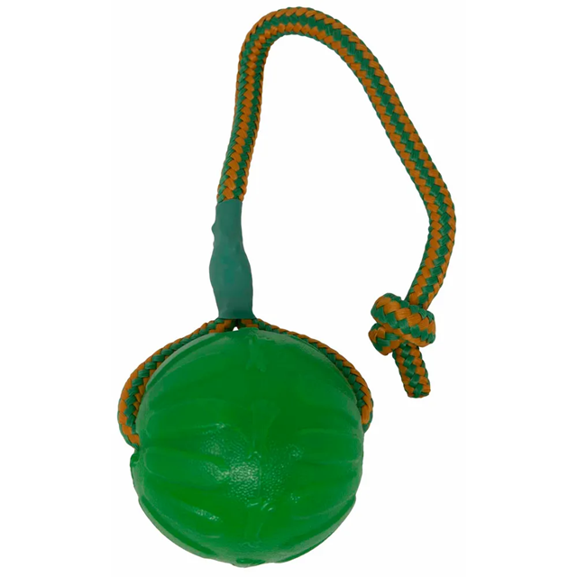 Starmark FunBall Med Rep Large