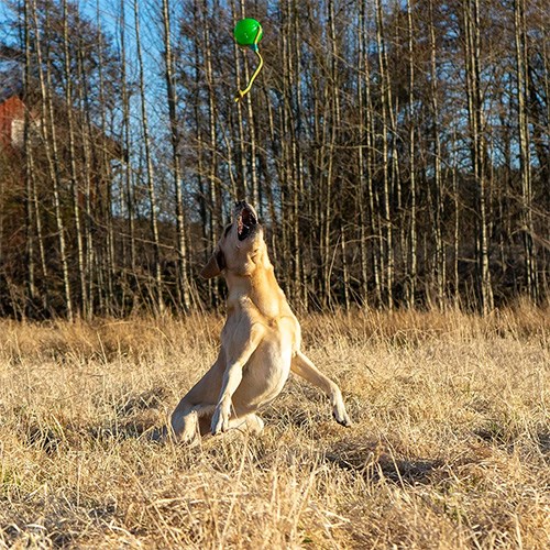 Starmark FunBall Med Rep Large