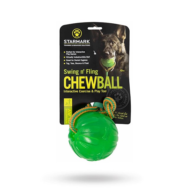 Starmark FunBall Med Rep Large