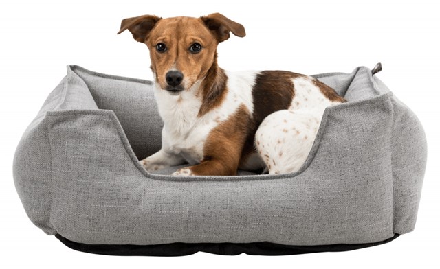 Talis Hundbädd - Grå