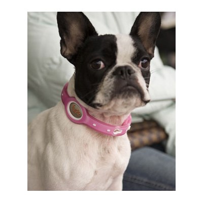 Fydo Action Halsband Rosa