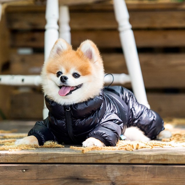 Ultra Light Jumpsuit B Svart Vinteroverall