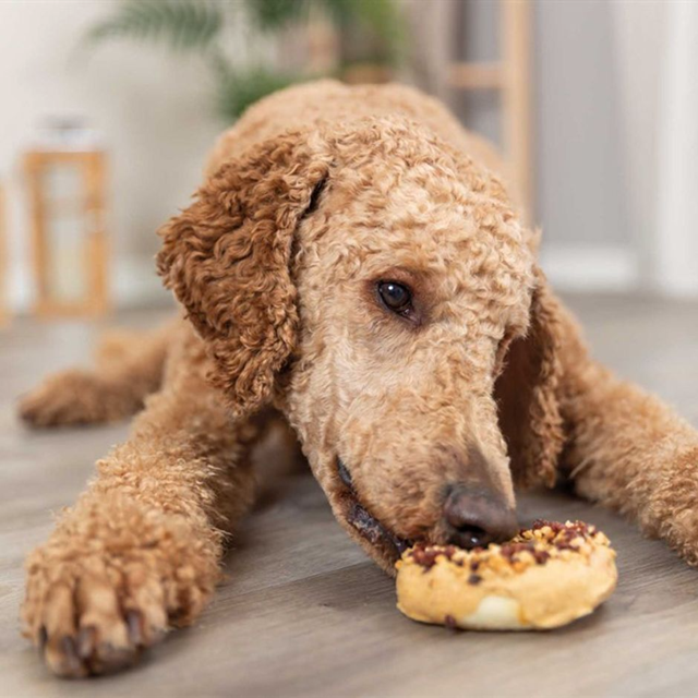 Trixie Donuts Mix 3×55g