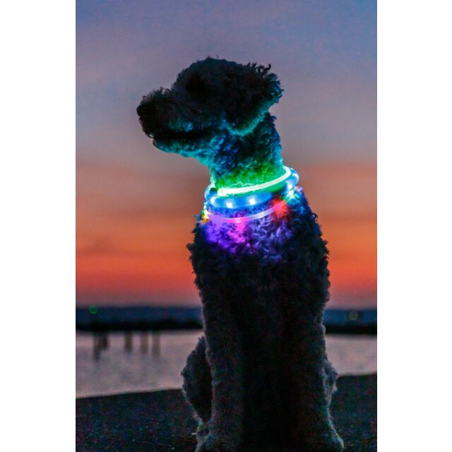 Trixie Flash Light Ring USB - Röd