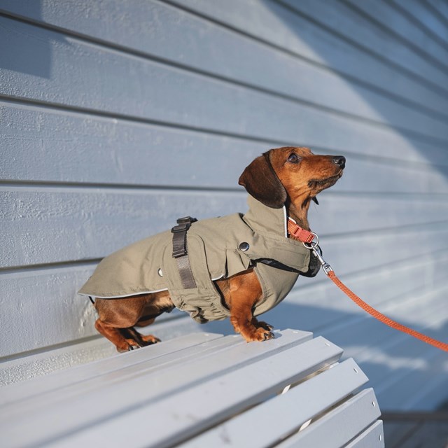 Trixie Hermy Olivgrön 33 cm