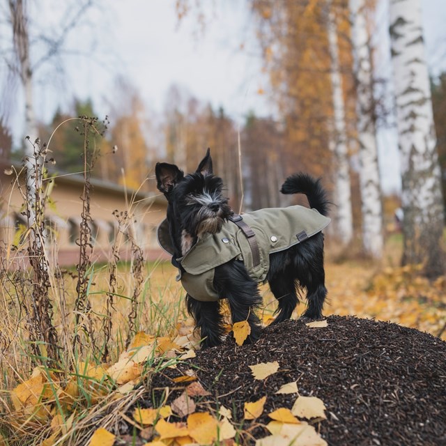 Trixie Hermy Olivgrön 33 cm