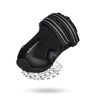 Walker Active 2-pack - Hundskor