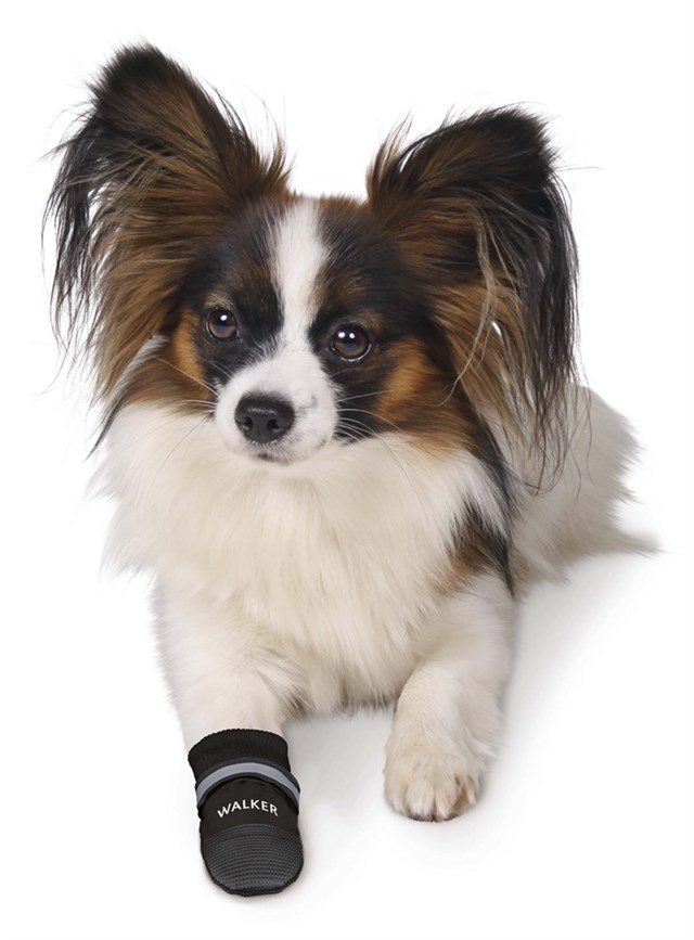 Trixie Hundskor Walker Comfort 2-pack - Svart