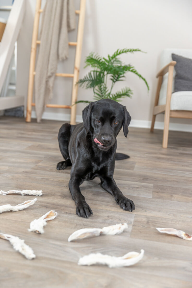 Trixie Kaninöron med päls 100g