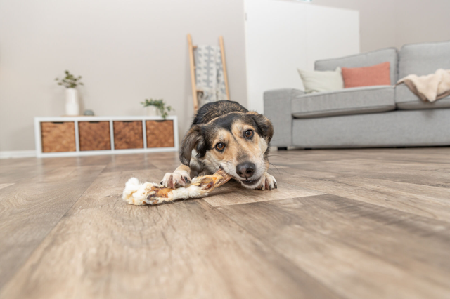 Trixie Kaninöron med päls 100g