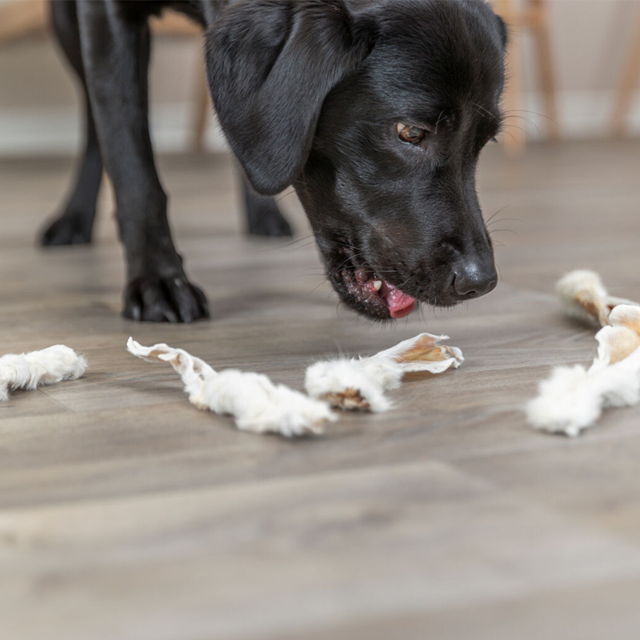 Trixie Kaninöron med päls 500g