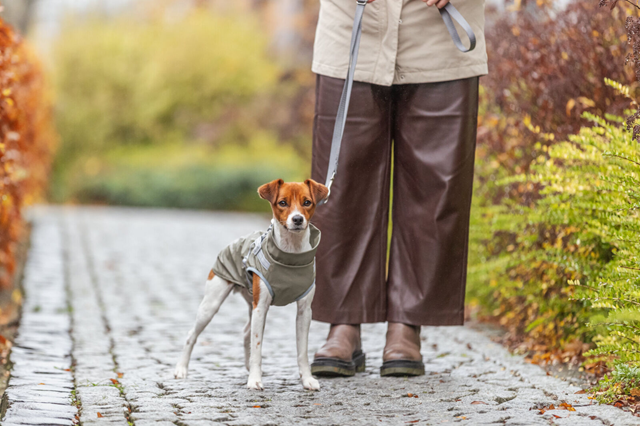 Trixie Pontis Regntäcke med integrerad sele - Olivgrön