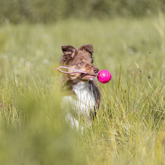 Soft & Strong - Boll Med Handtag Rosa
