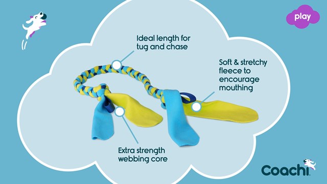 Coachi Tuggi Tug Navy Kampleksak