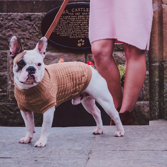 Brown Waffle Textured Stickad Hundtröja