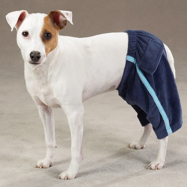 Velour Royalty Sweat Pants - Blå