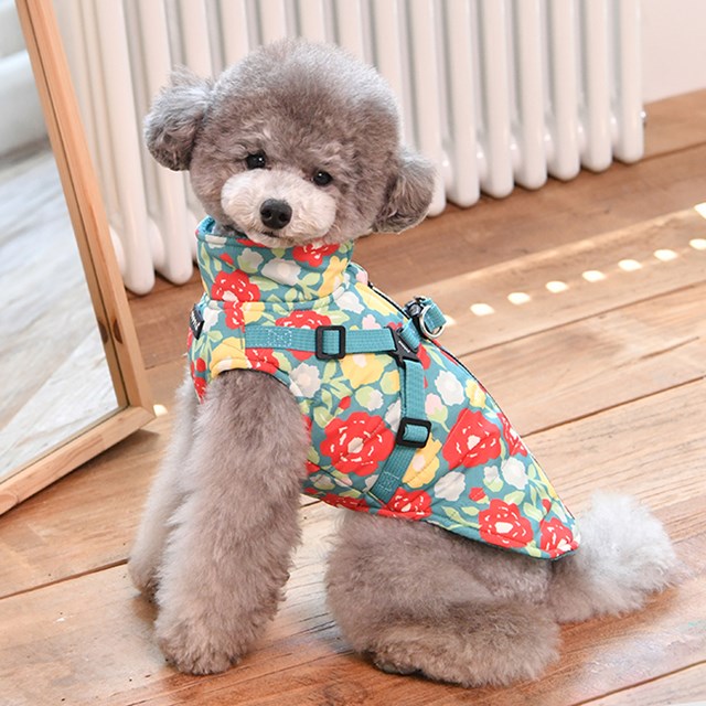 Alyssa Aqua - Hundtäcke med integrerad sele