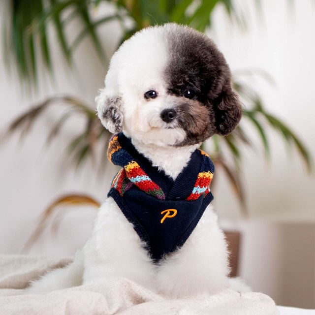 Lennon Navy - Hundtröja