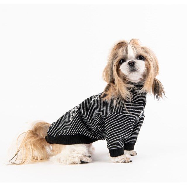 Back To School Black - Hundtröja