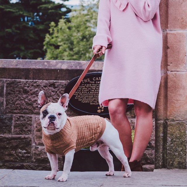 Brown Waffle Textured Stickad Hundtröja