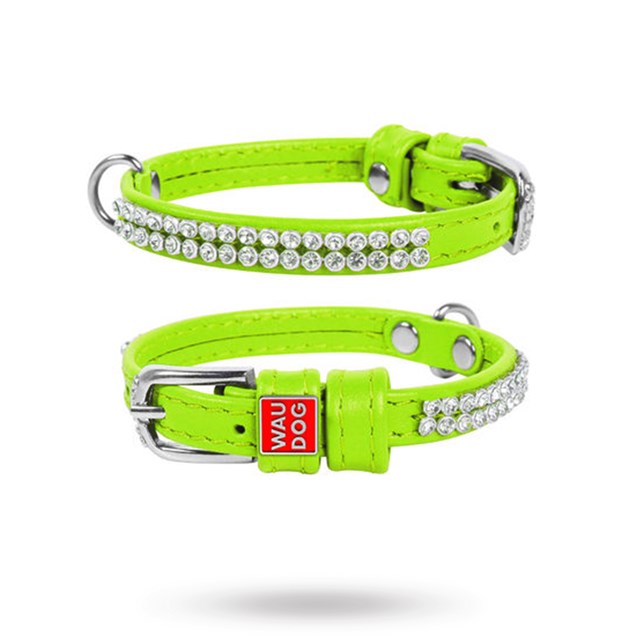 WAUDOG Glamour - Katthalsband Limegrön