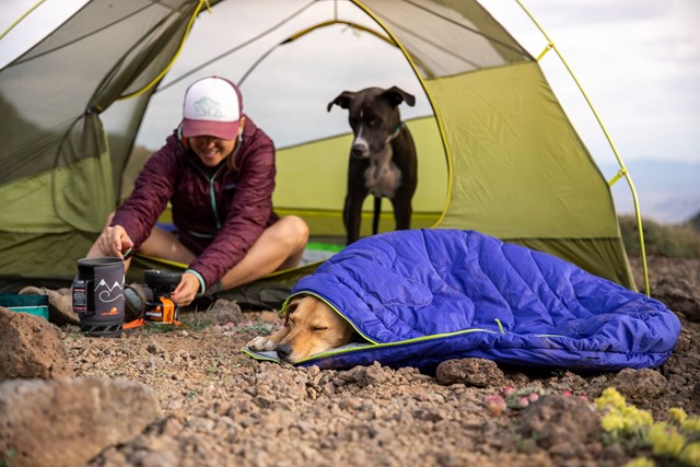 Highlands Dog Sleeping Bag Huckleberry Blue Sovsäck