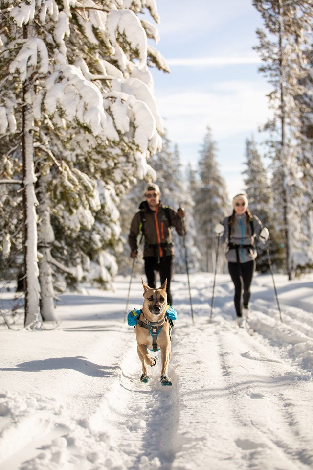 SINGLETRAK PACK - BLUE DUSK