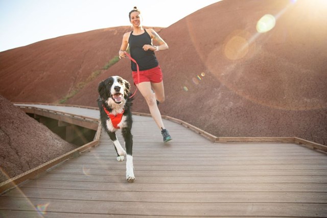 FRONT RANGE RED SUMAC HUNDSELE