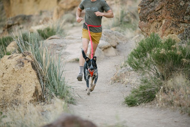 Roamer Leash Expanderkoppel - Blue Atoll
