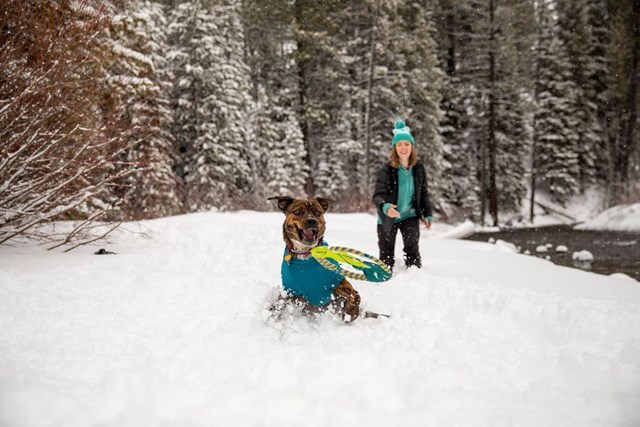 Pacific Ring Toy Tumalo Teal