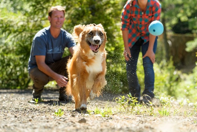 Huckama - Sockeye Red